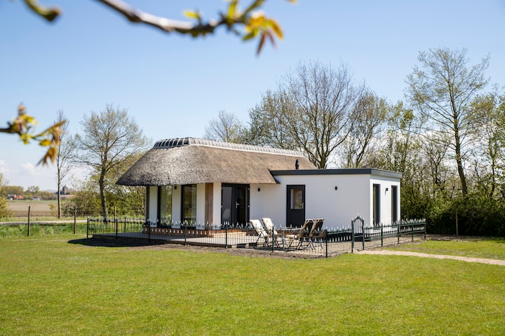 Rural cottage in meadow with Alpacas