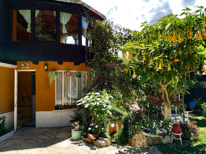 Chiapas Vacation Rentals & Homes Mexico Airbnb