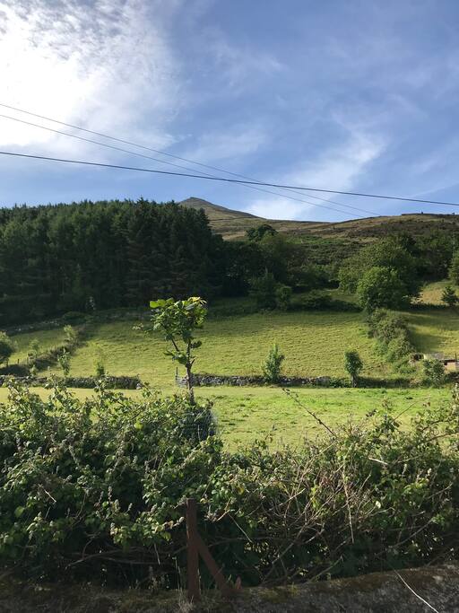 Views behind cottage