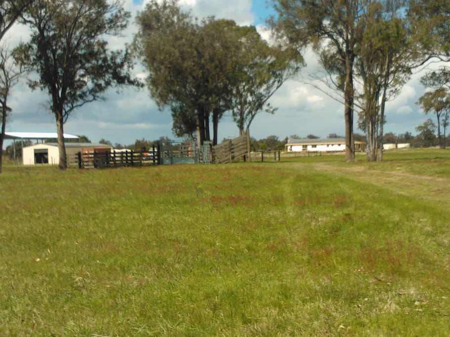 A roadside view