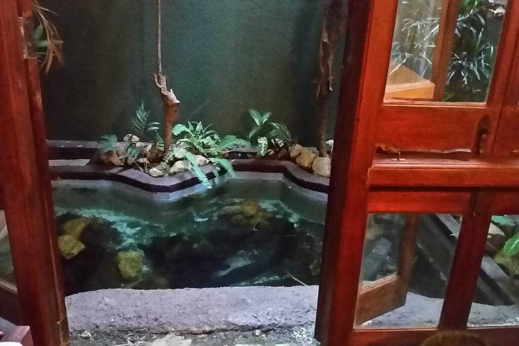 Pond view of the A/C Room on Ground Floor