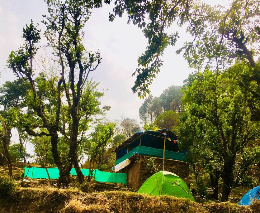 Campsite!