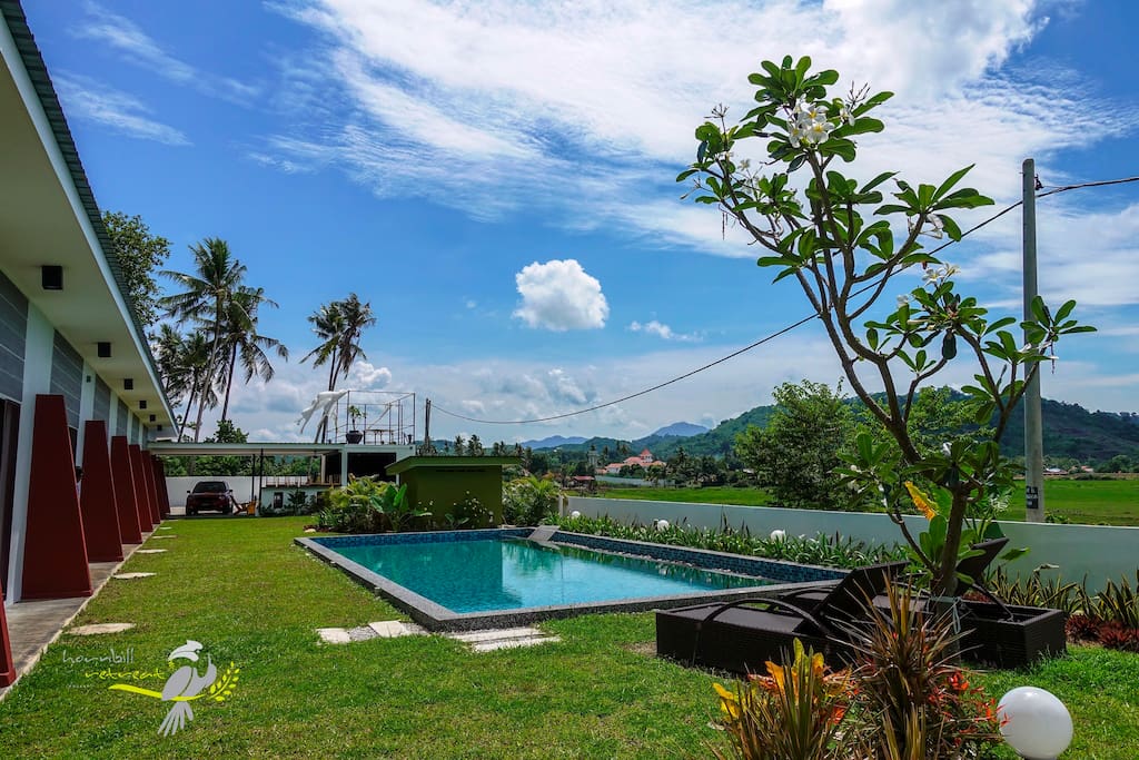 Green yard and swimming pool just in front of your room.