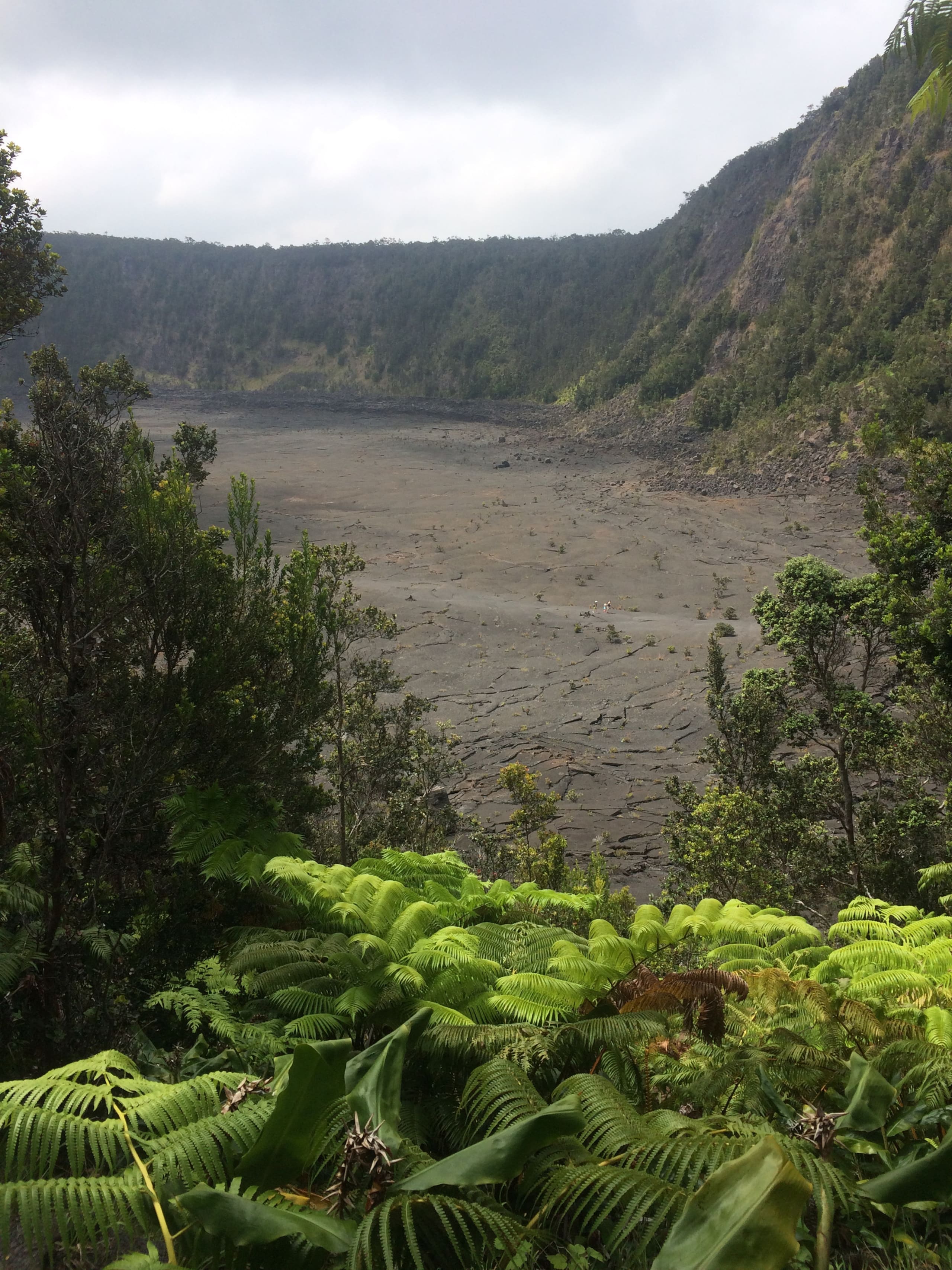 Explorer's Bungalow - Explore Volcanoes NP! - Photo 41