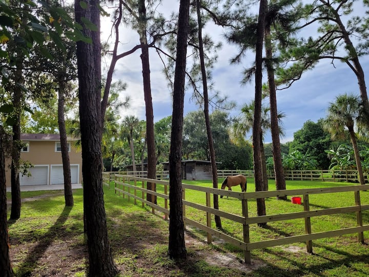 PEACEFUL CLEAN ANIMALS FARM HOUSE BEACHES AT 10MIN Farm stays for