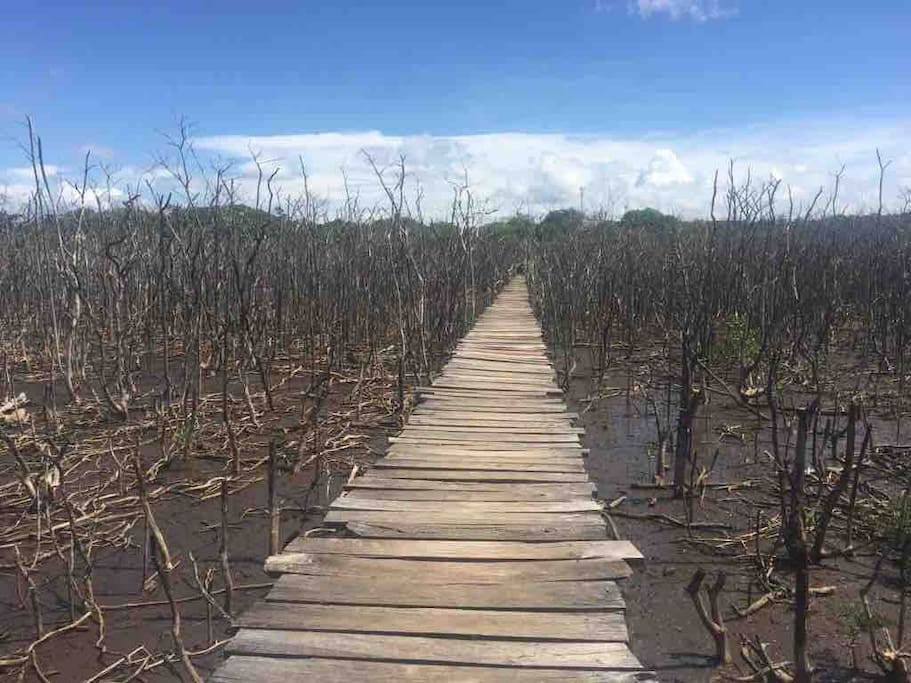 El puente de playa Avellanas, en Guanacaste, se ha convertido en un hermoso ícono turístico que ha sido fotografiado en numerosas ocasiones.