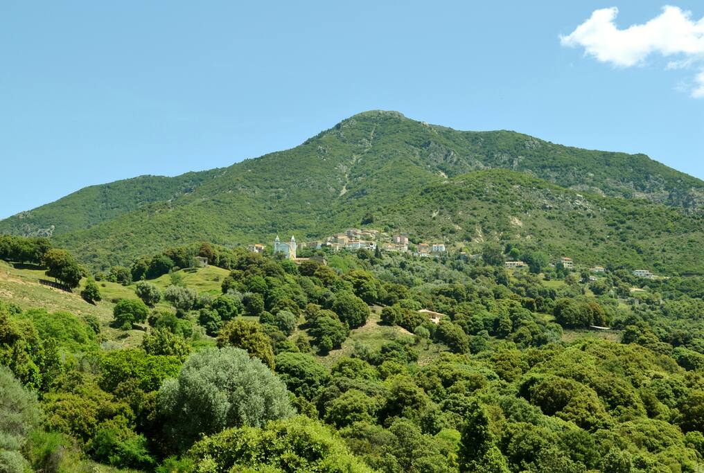 vue du village depuis "la route des vignes"