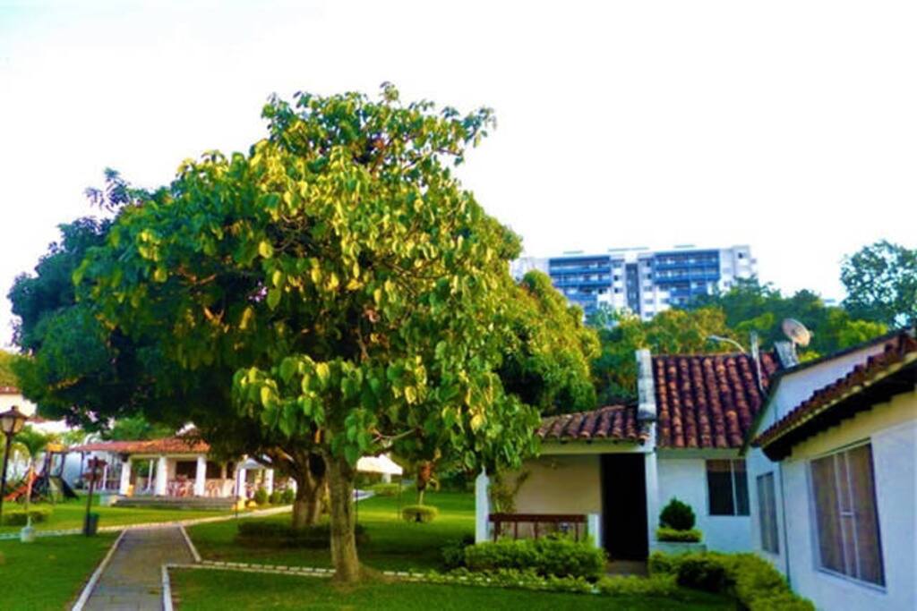 AMPLIA ZONA VERDE