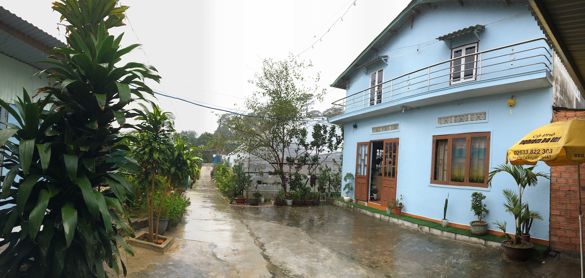 A spacious exterior view of the hostel is presented, featuring a light blue building with a wooden entrance and large windows. Surrounding greenery includes potted plants and trees, while a yellow umbrella provides shading. The pathway is paved, leading towards a peaceful atmosphere.