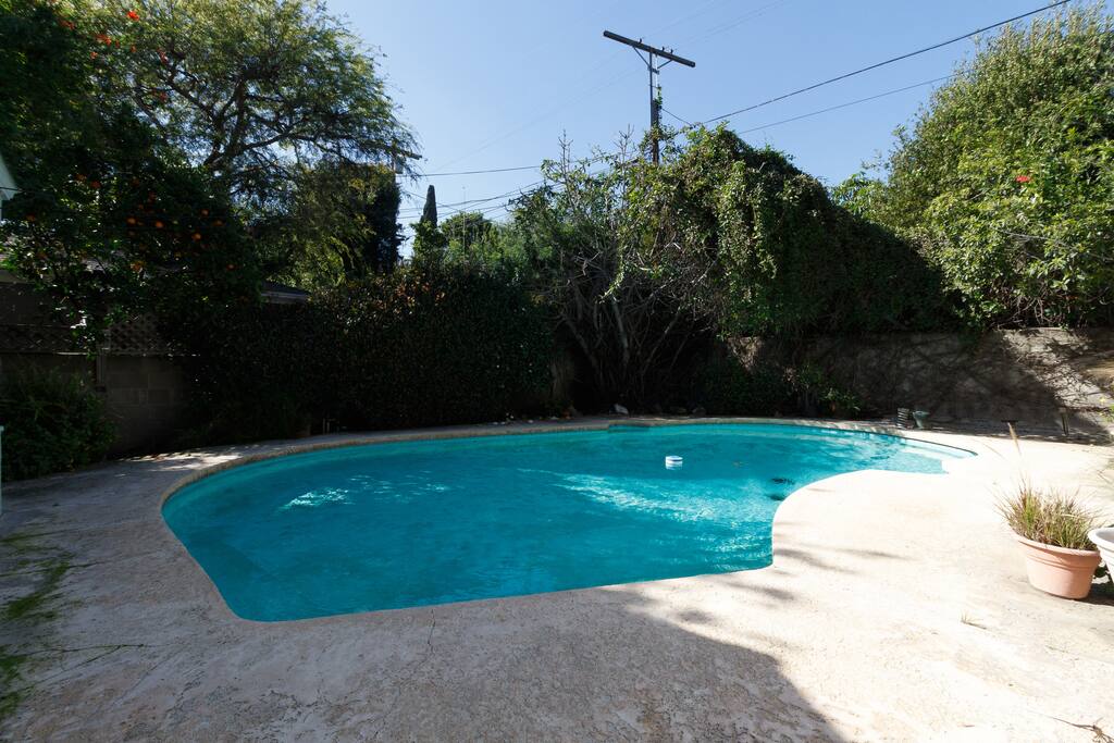 Large Pool in Backyard