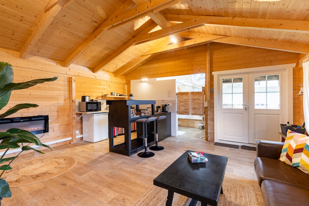 The interior features a wooden ceiling with exposed beams, creating an open and airy feel. A seating area includes a brown sofa and a coffee table. A kitchenette is present, equipped with appliances. A dining bar with two stools offers additional seating, and large windows allow natural light.