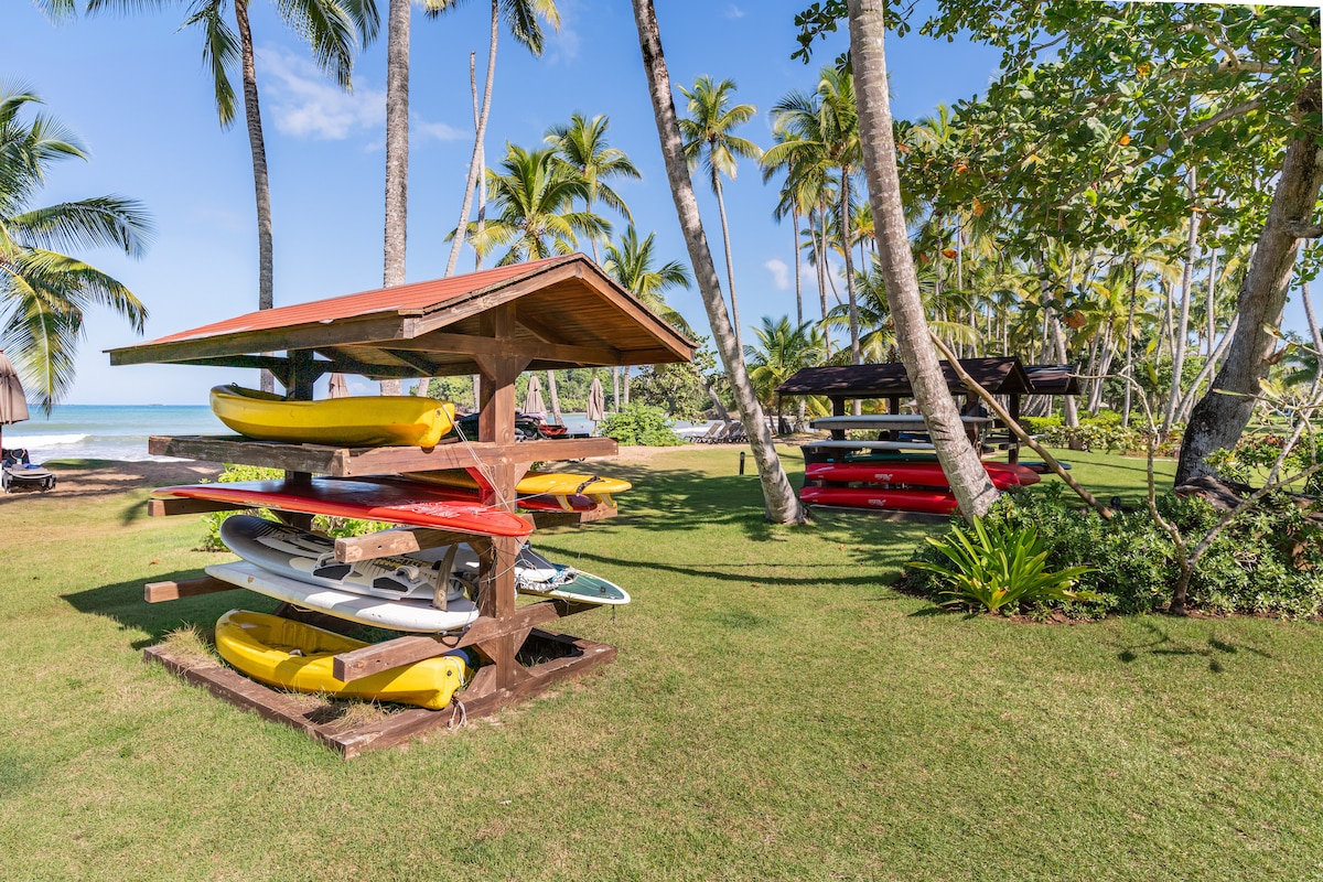 A grassy area is displayed with tall palm trees and a clear blue sky. A wooden rack holds various kayaks and paddleboards in vibrant colors, with additional equipment organized on a nearby structure. The sparkling water of the lake is visible in the background.