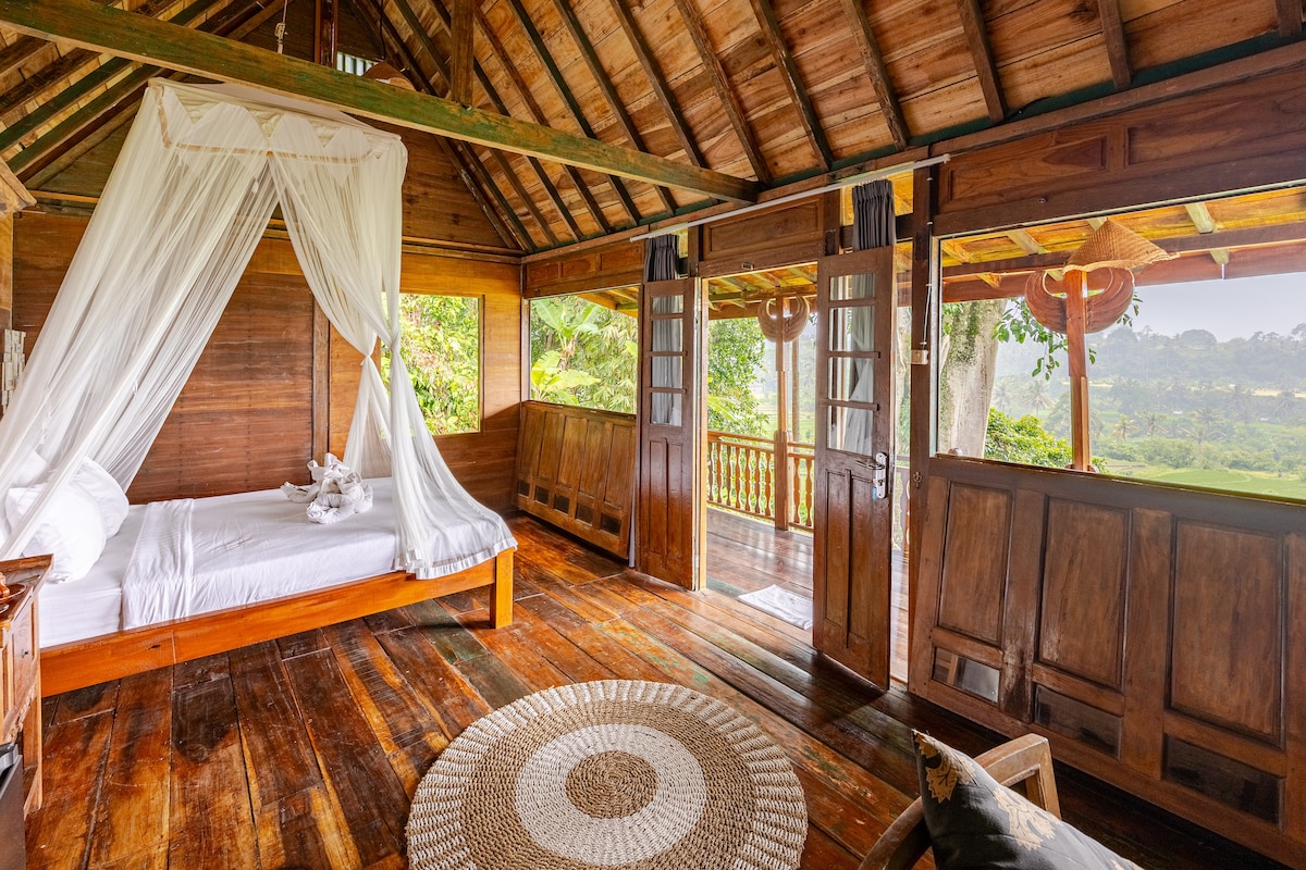A wooden room features a spacious bed with a mosquito net draped overhead. Large glass doors open to a balcony, allowing views of the lush rice fields. Natural light filters through, illuminating the warm wood tones of the floor and walls.