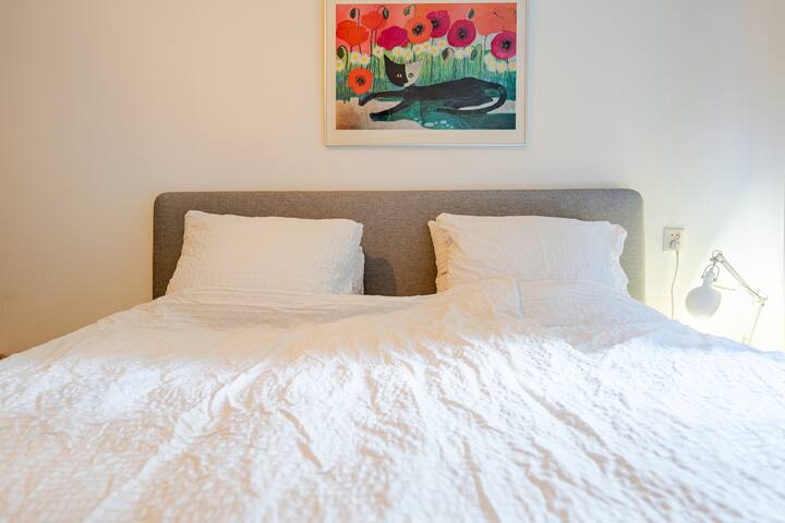 Luxury large house in the heart of the city center gallery image 3