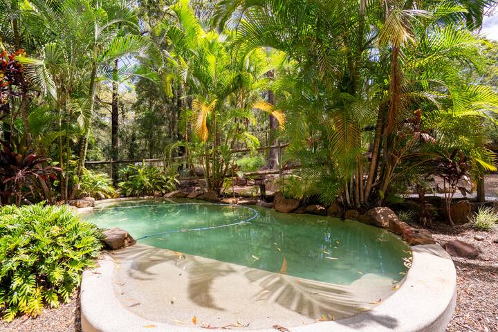 Serene Sunshine Coast Oasis gallery image 2