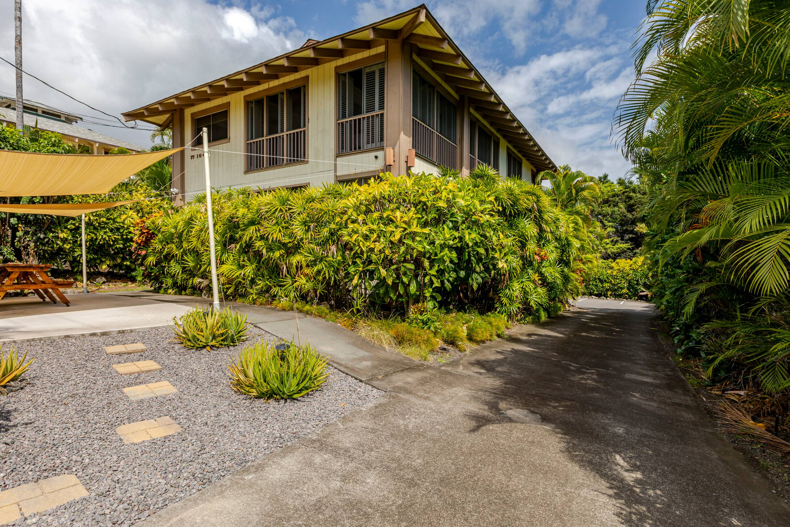 Location! Ocean views king bed walk to magic beach - Image 59