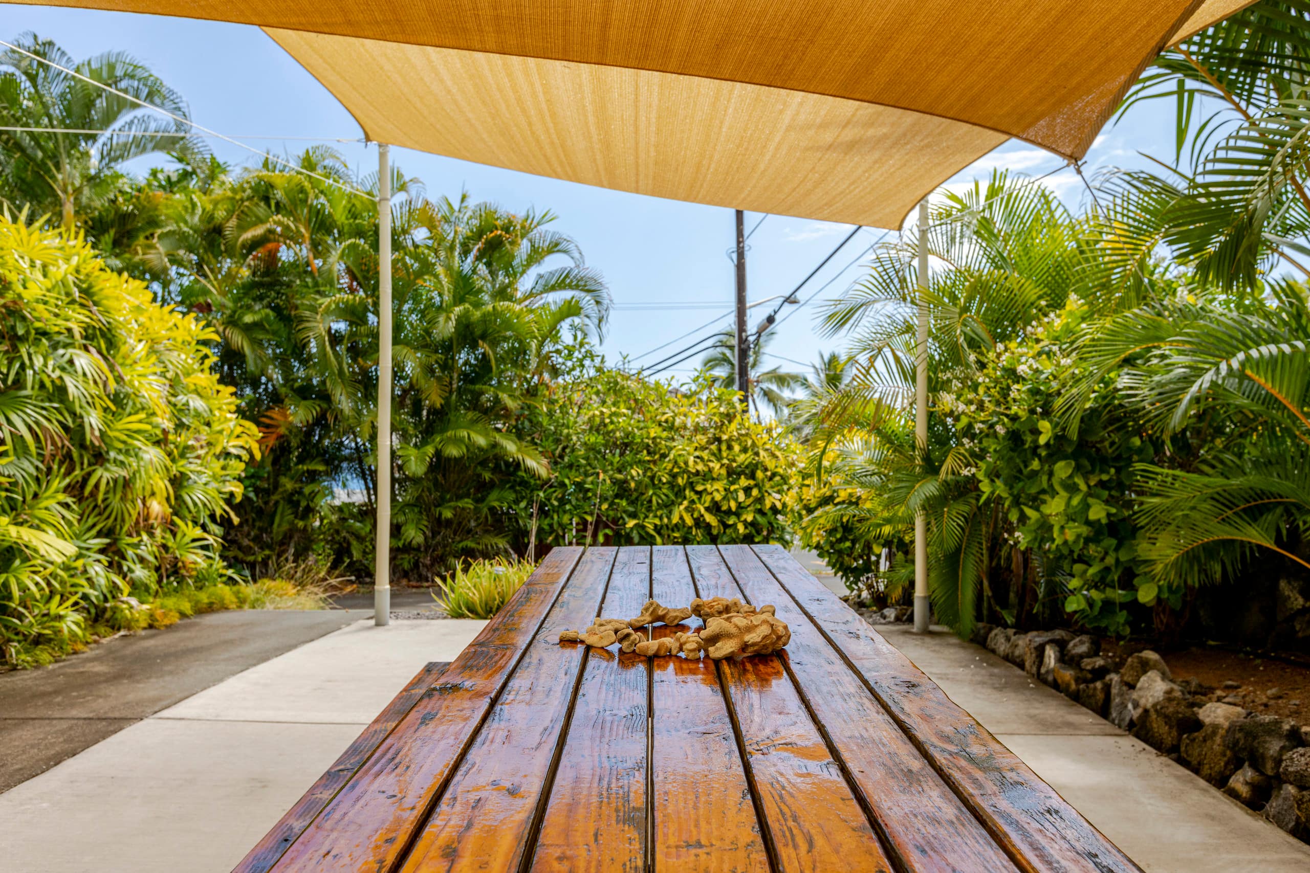 Location! Ocean views king bed walk to magic beach - Image 49