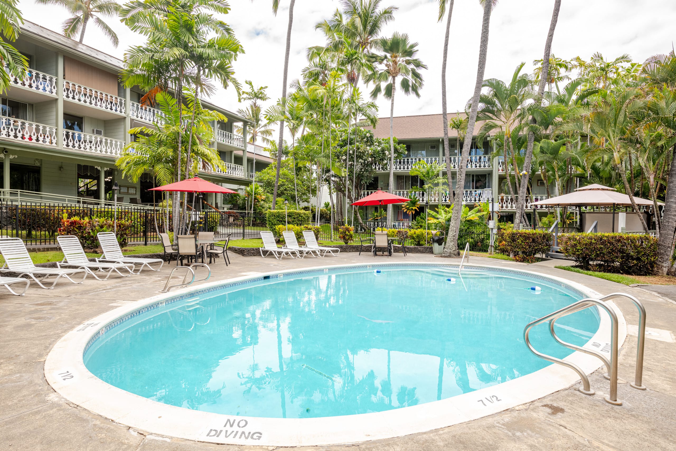 Beautiful 1 Bedroom with Full Kitchen and King bed - Photo 25