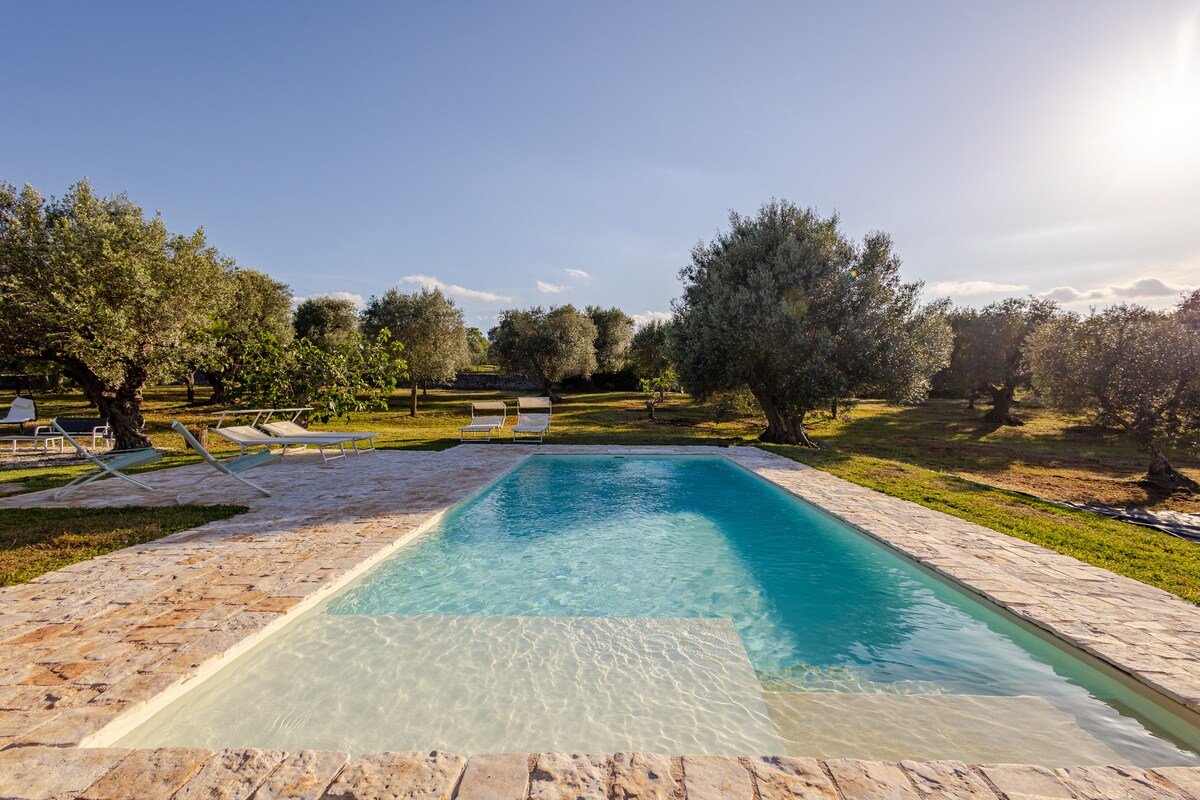 A tranquil outdoor scene features a private swimming pool surrounded by lush olive trees. Sunlight reflects off the clear water, and lounge chairs are positioned nearby on a stone terrace. The inviting space offers opportunities for relaxation in a serene natural setting.