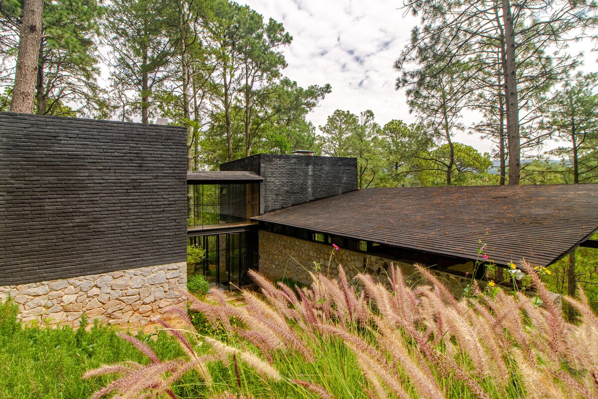 A modern architectural structure is situated among tall trees, featuring a dark wooden exterior and large glass elements. The building's unique shapes and textures are complemented by surrounding greenery, while natural grasses sway in the foreground, adding a serene touch to the setting.
