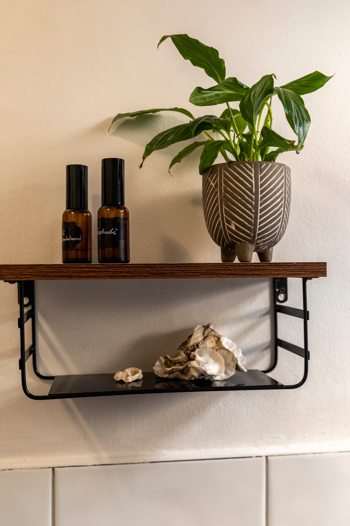 A wall-mounted shelf showcases two dark glass bottles beside a textured ceramic pot containing a green plant. A small decorative shell rests beneath, adding a touch of natural detail to the simple arrangement.