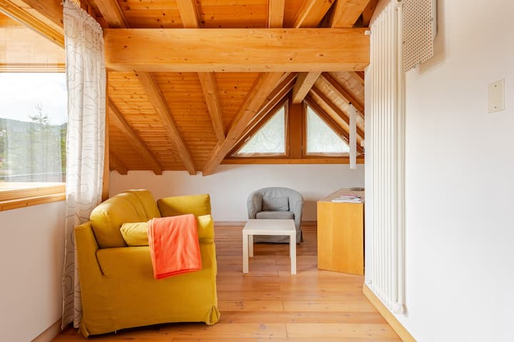 Attic Cipat 022231-at-051573 - Molveno