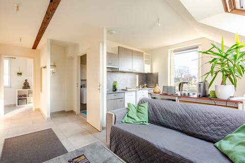 Modern 2-room apartment in the heart of Erstein