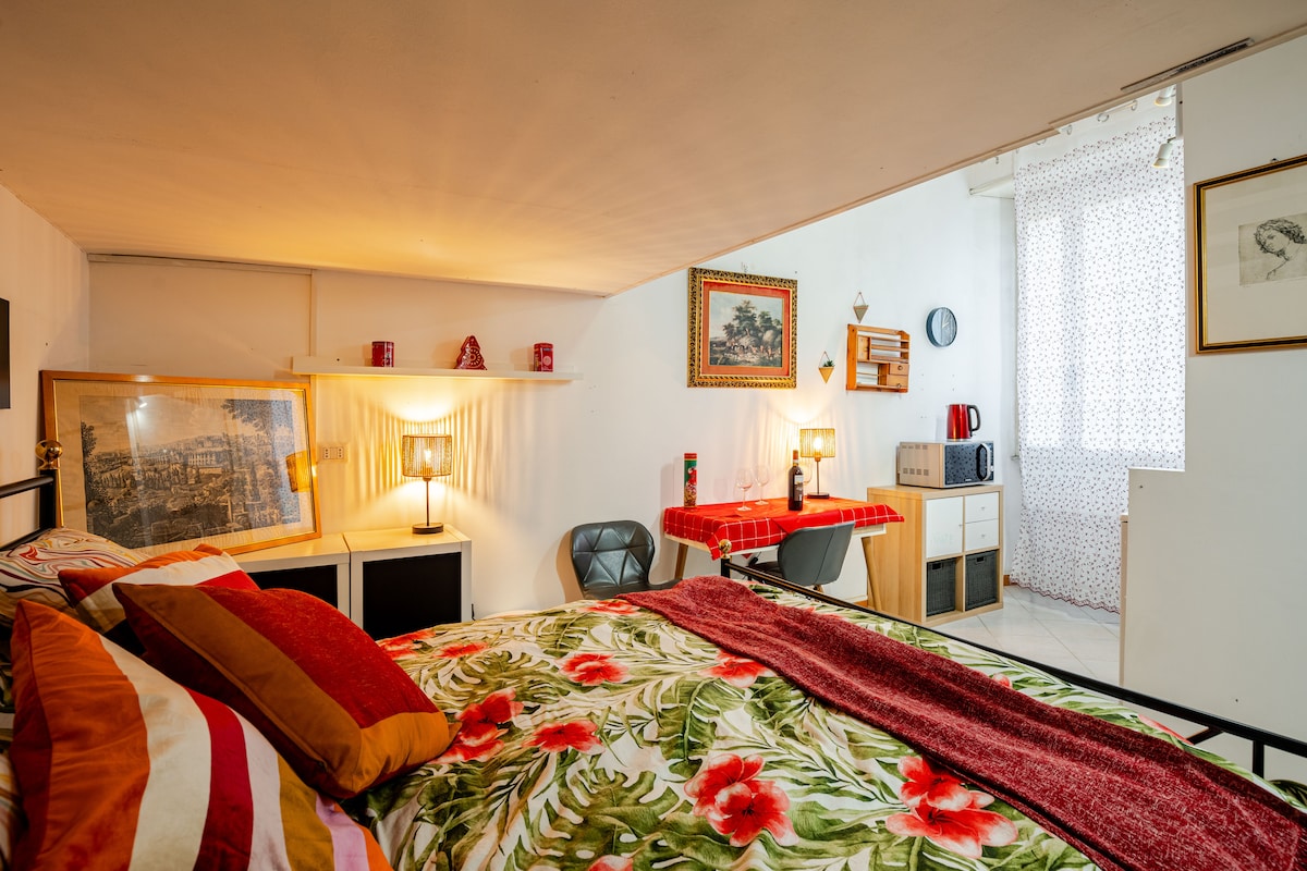 bedroom near Rome center  #studio #area #central