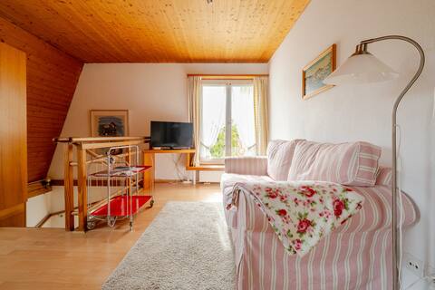 Friendly apartment in the center of Dietikon