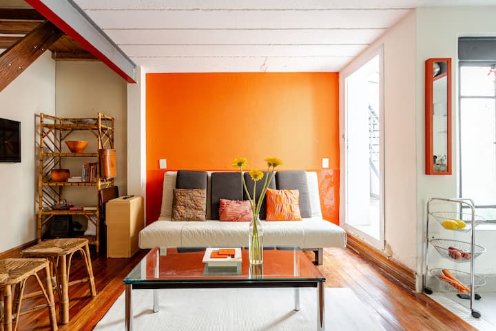 Large Historic House With Patio & Wide Sun Terrace - Buenos Aires