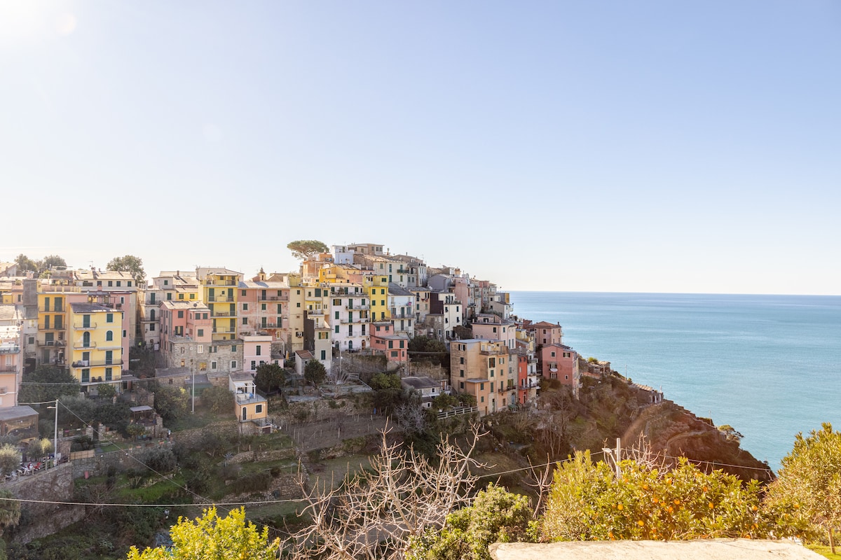 A view captures the coastal village of Corniglia, showcasing a blend of colorful buildings on the hillside. The serene blue sea stretches in the background, while green vegetation is visible in the foreground.
