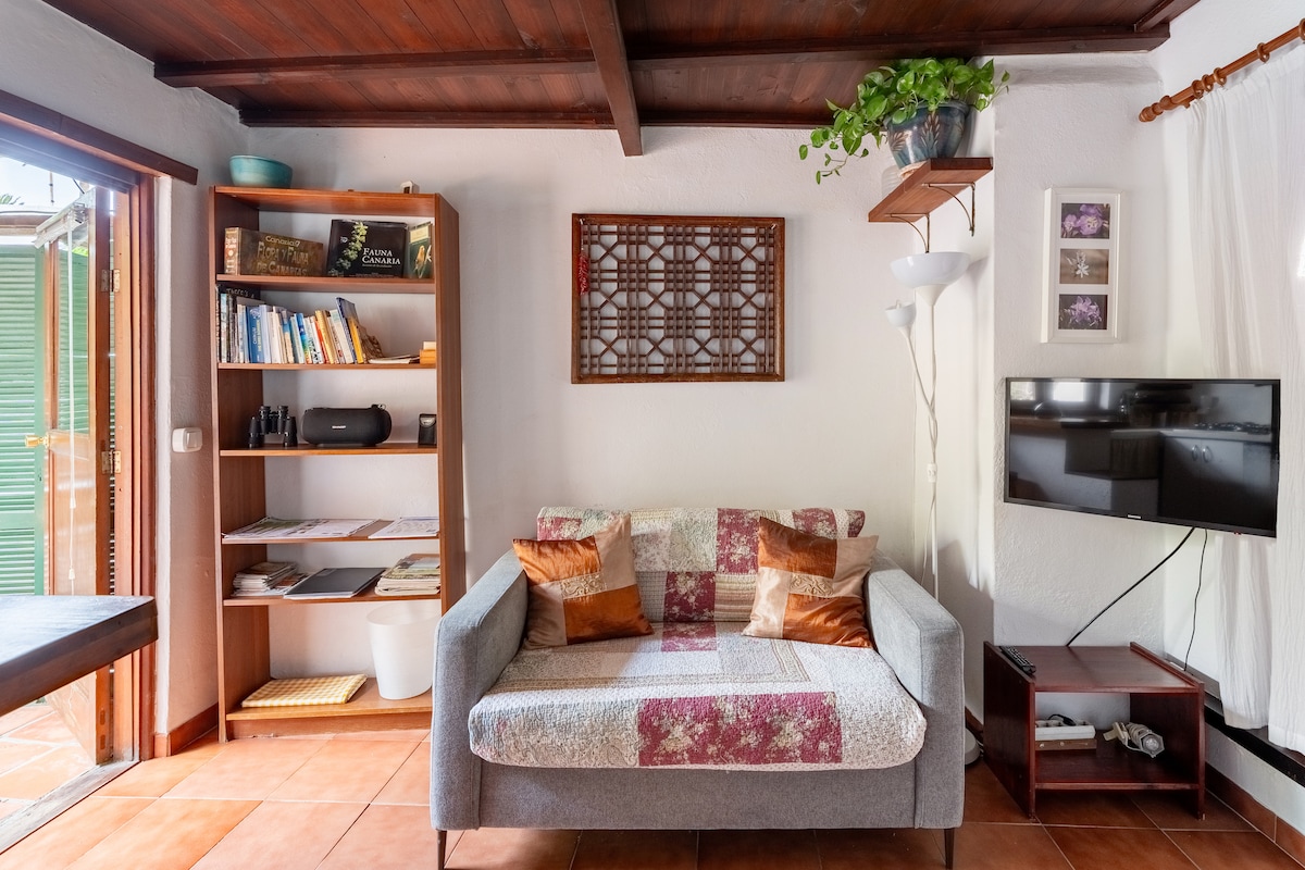 A comfortable living area features a gray sofa adorned with colorful cushions, along with a wooden shelving unit filled with books and decorative items. A wall-mounted TV provides entertainment, while natural light enters through an open door leading to the patio.