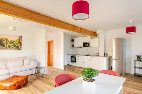 Large bright apartment with balcony