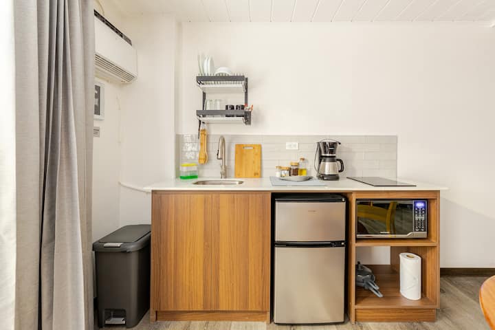 Modern Costa Rican Heritage Loft #111 - San José