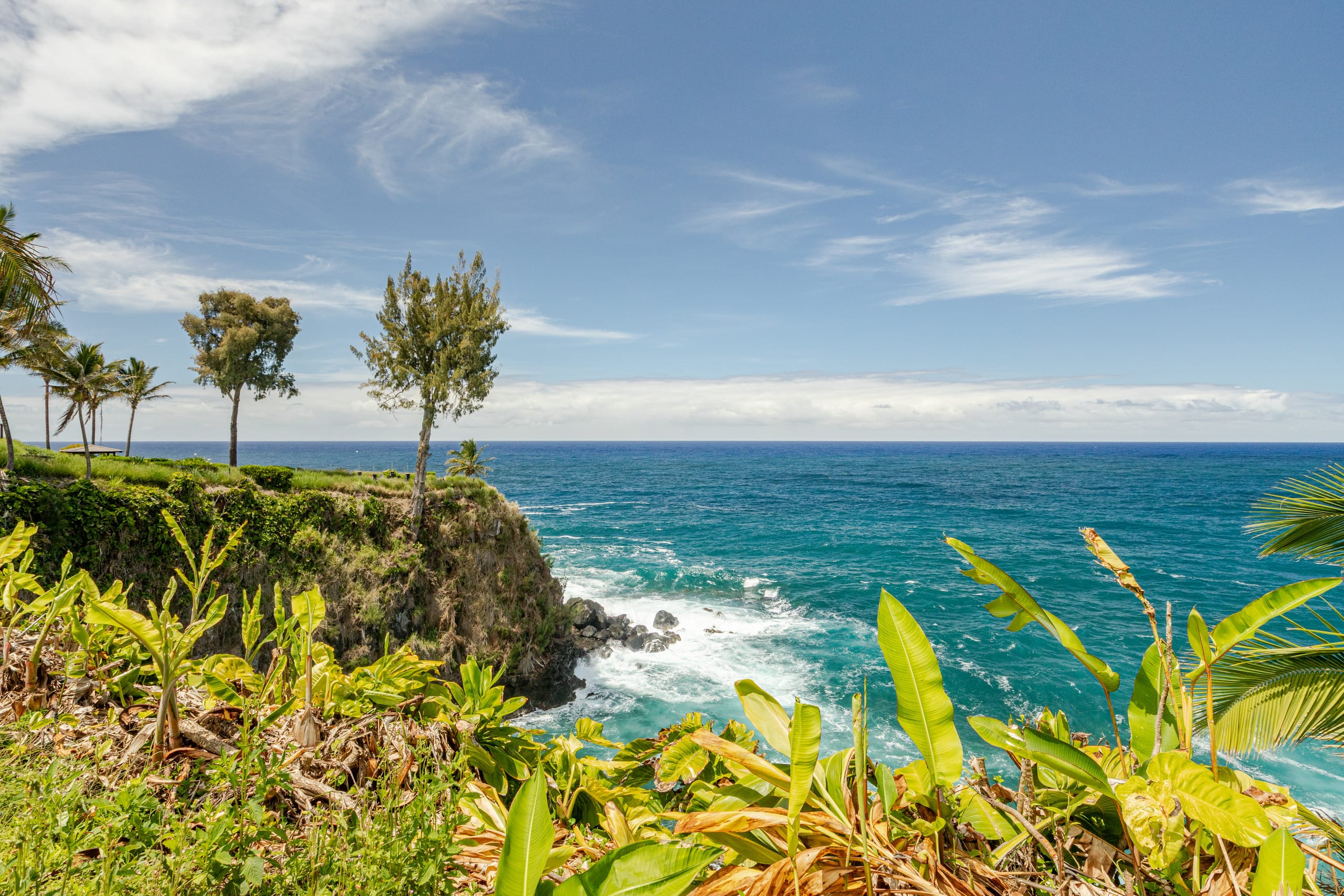 Grand Oceanfront Gated Estate on the Hamakua Coast - Photo 65