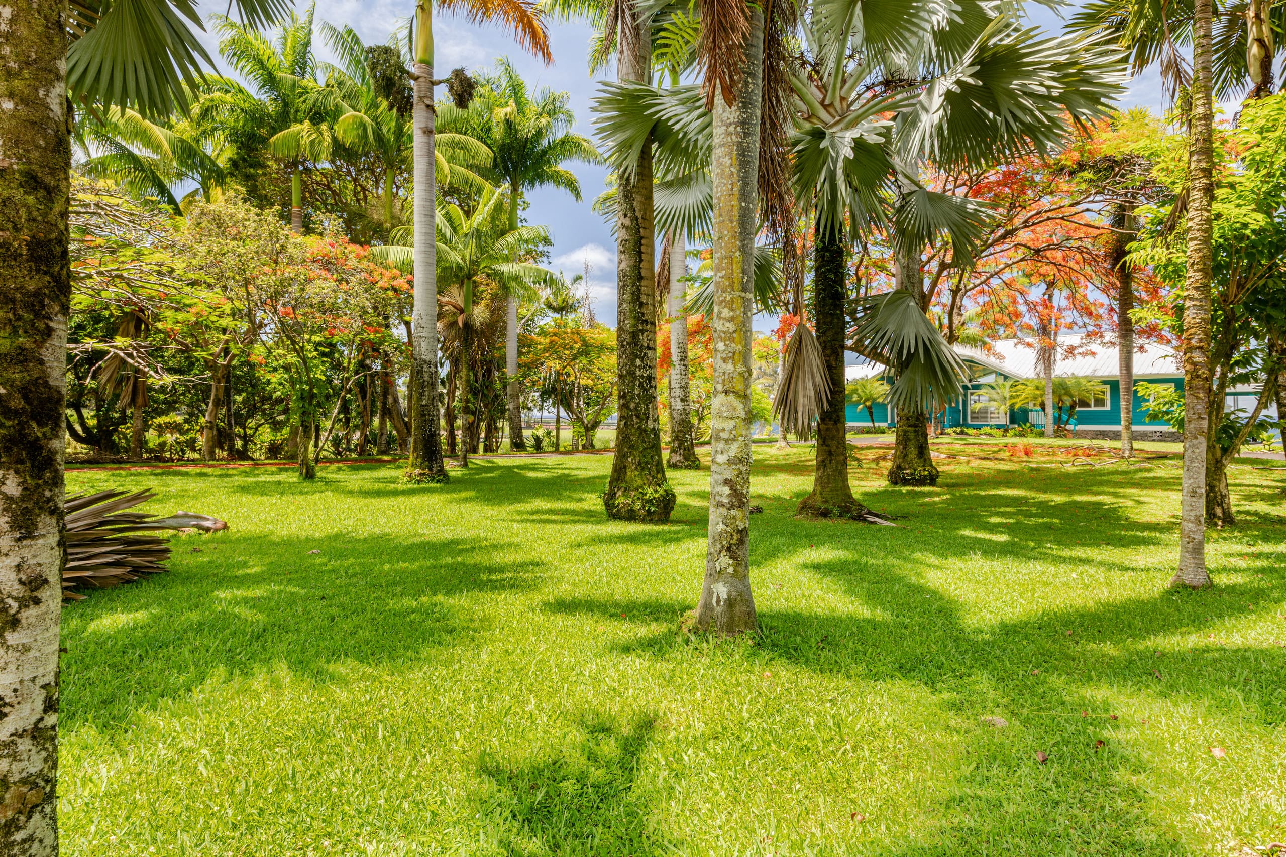 Grand Oceanfront Gated Estate on the Hamakua Coast - Photo 54