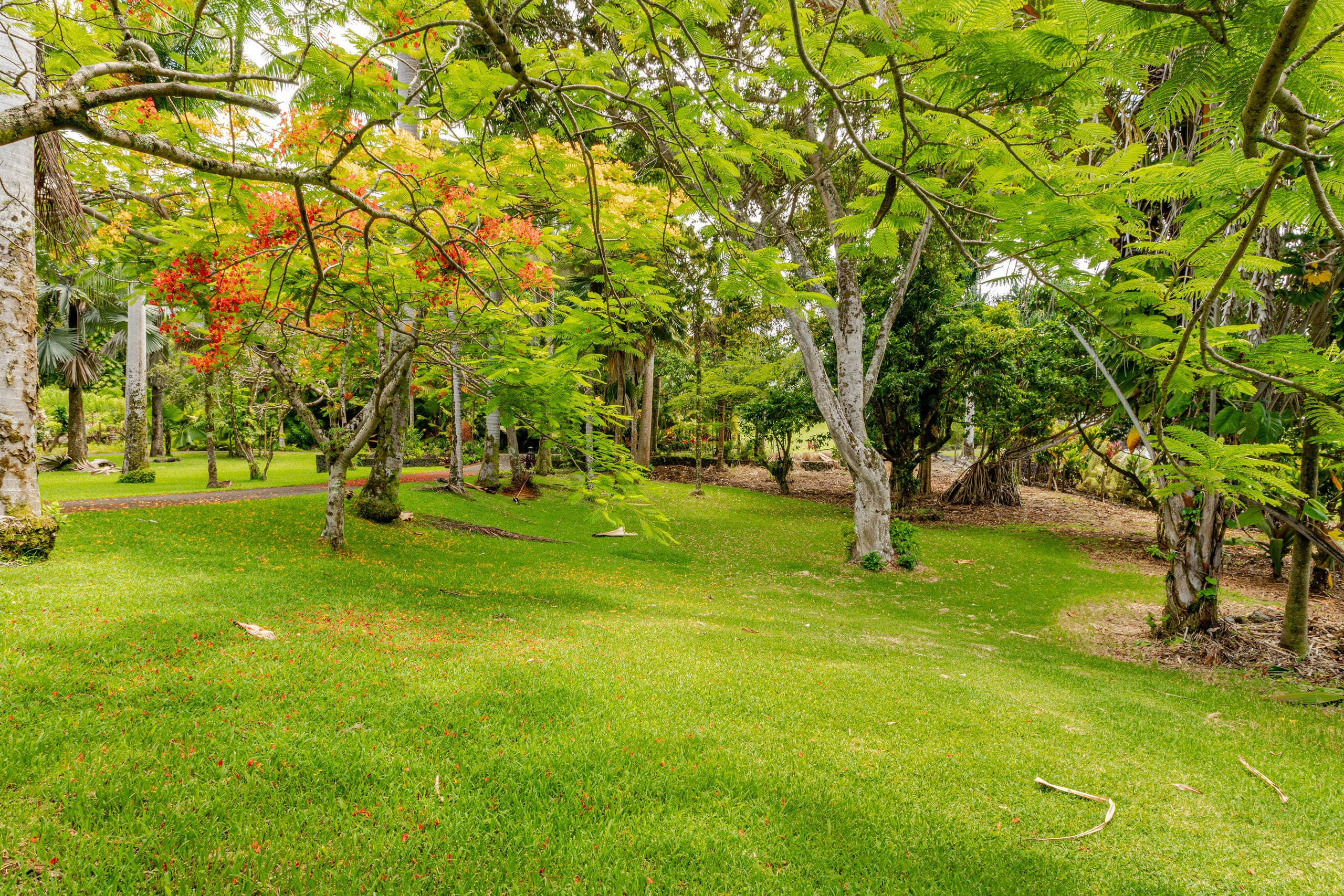 Grand Oceanfront Gated Estate on the Hamakua Coast - Photo 41