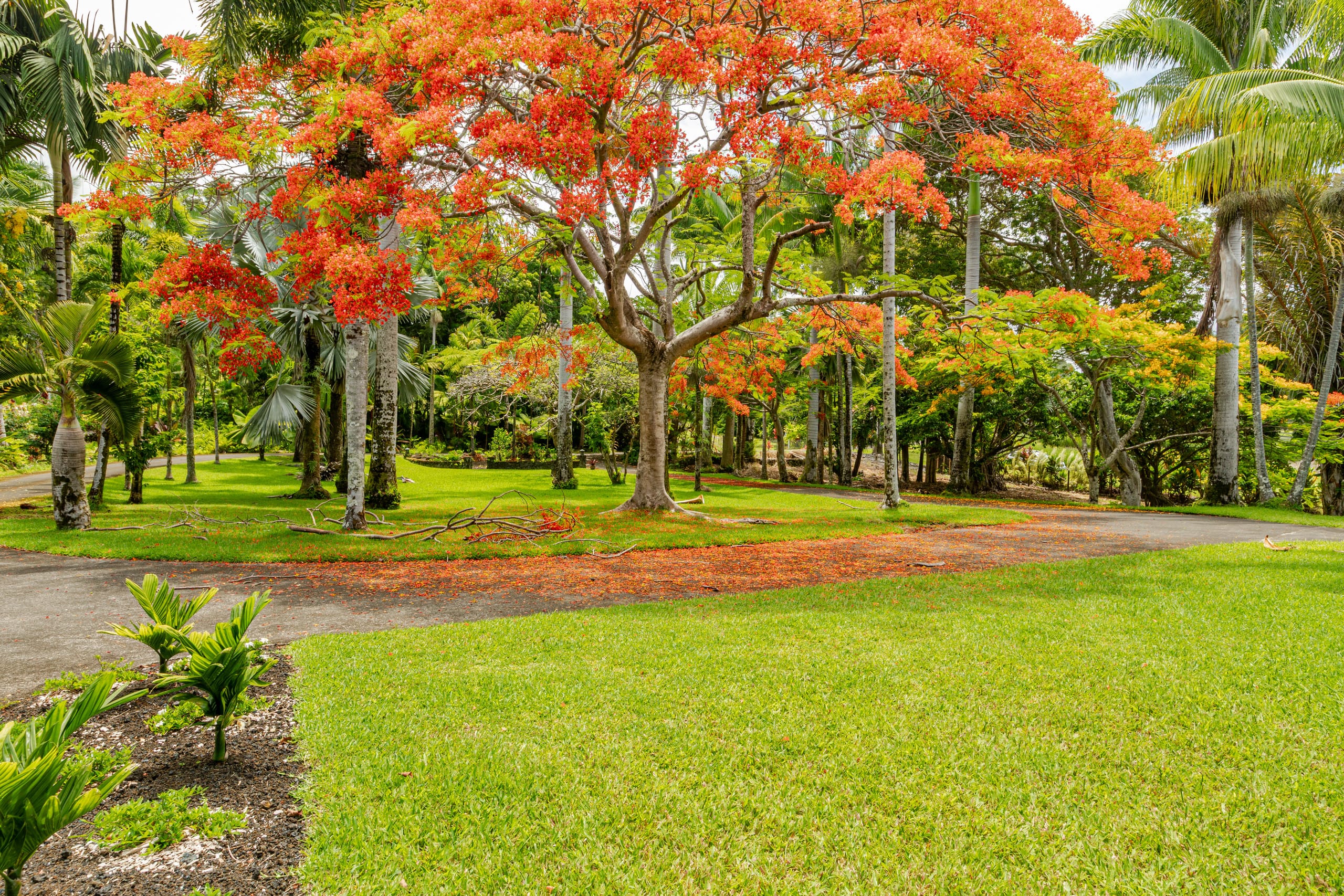 Home in Hakalau · ★4.97 · 2 bedrooms · 2 beds · 1 bath - Photo 33