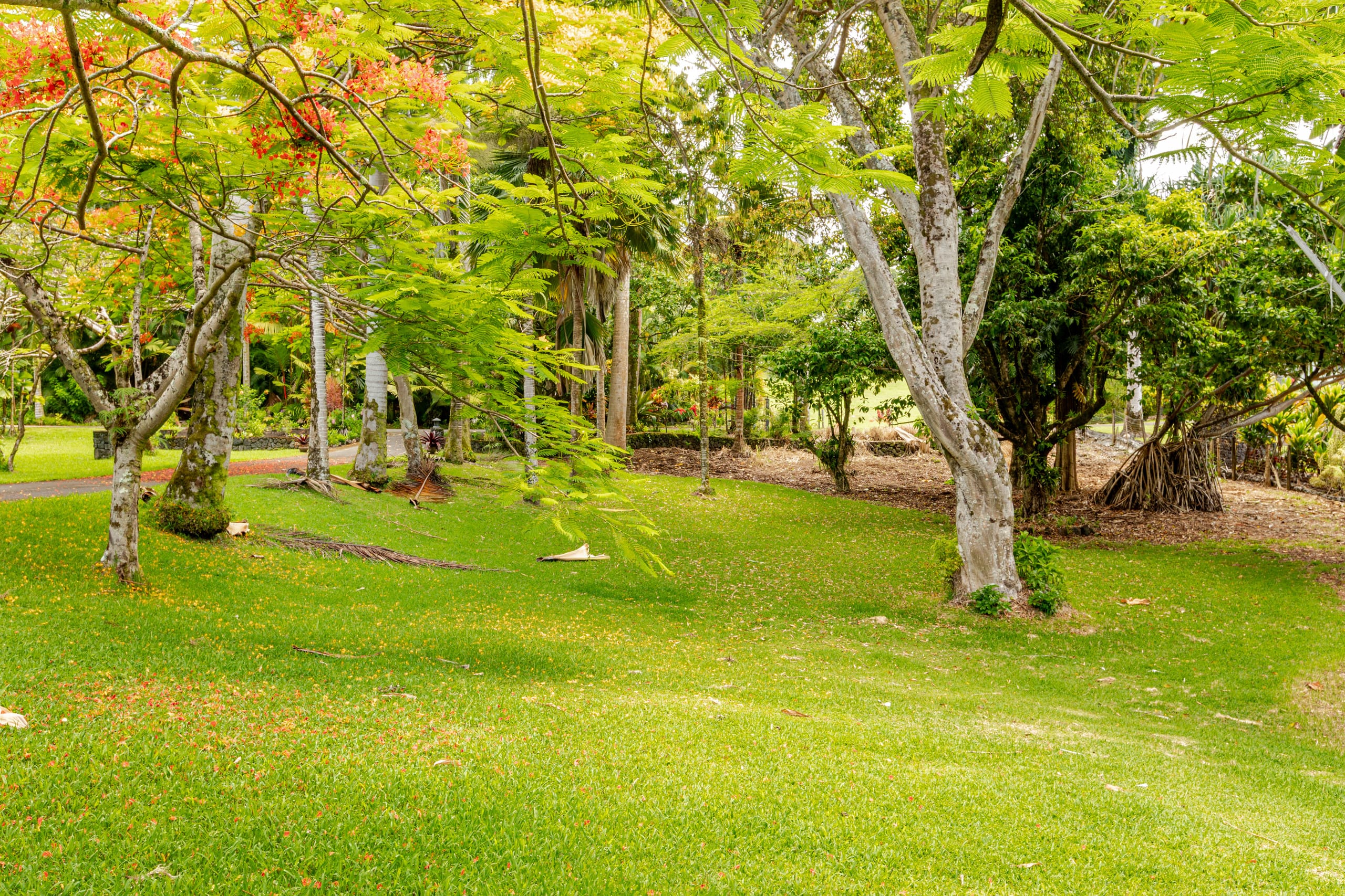 Home in Hakalau · ★4.97 · 2 bedrooms · 2 beds · 1 bath - Photo 32