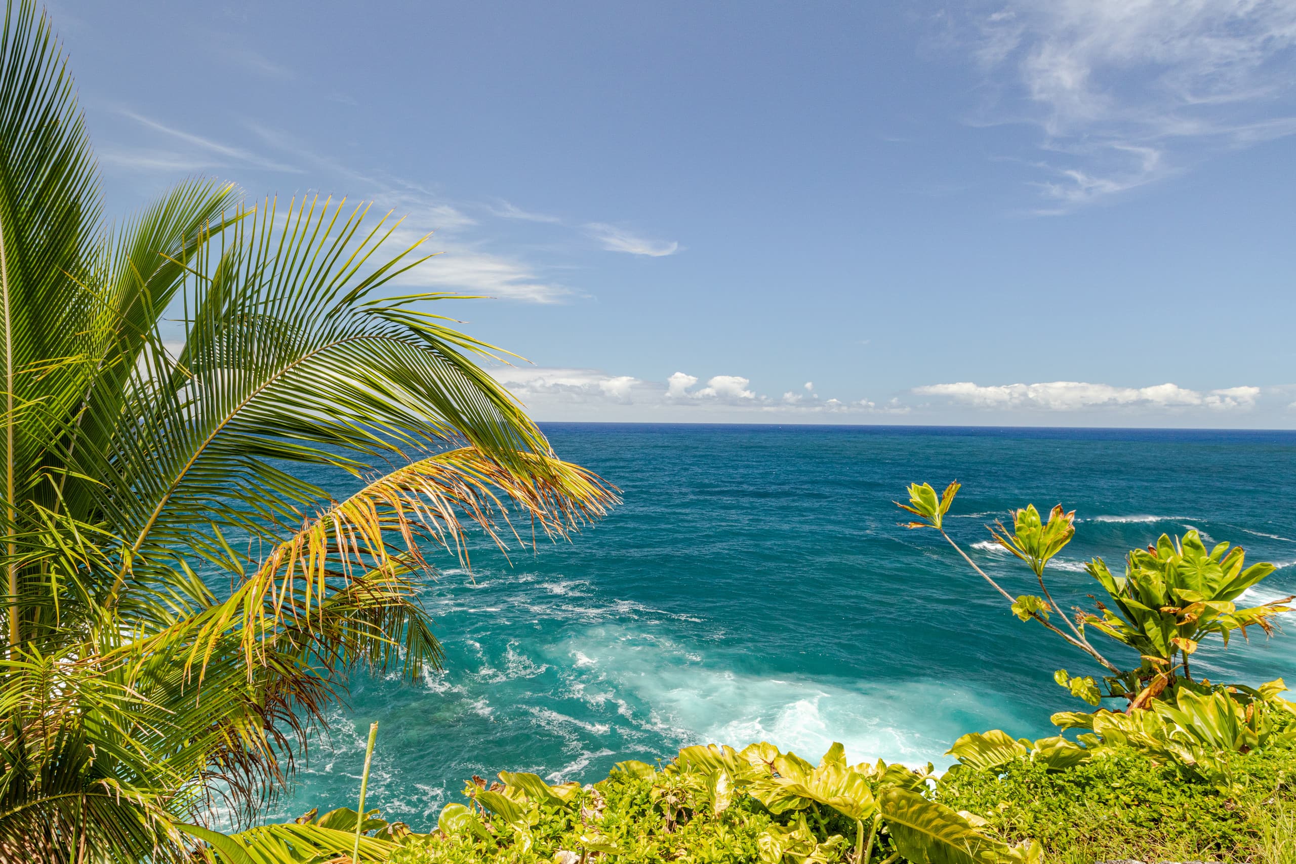 Home in Hakalau · ★4.97 · 2 bedrooms · 2 beds · 1 bath - Photo 51