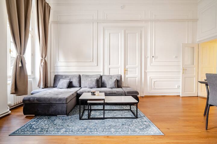 Spacious APT by National Museum | Wenceslas Square