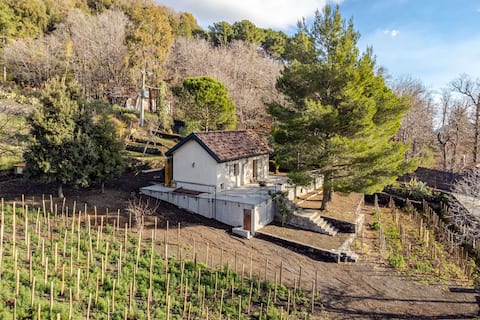 Cozy Home with Private Vineyard