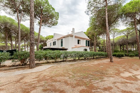 Villa Luna Home Holiday 100 mt from the sea