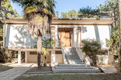 Villa Solaris Sea View with Private Park + Solarium