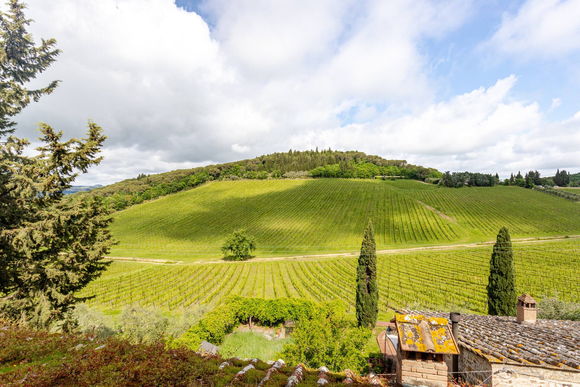 Chianti Essence Apartment