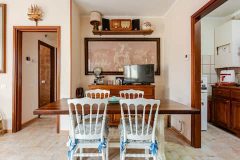 Puccini's Apartment 3 min from the sea A/C Wi-Fi