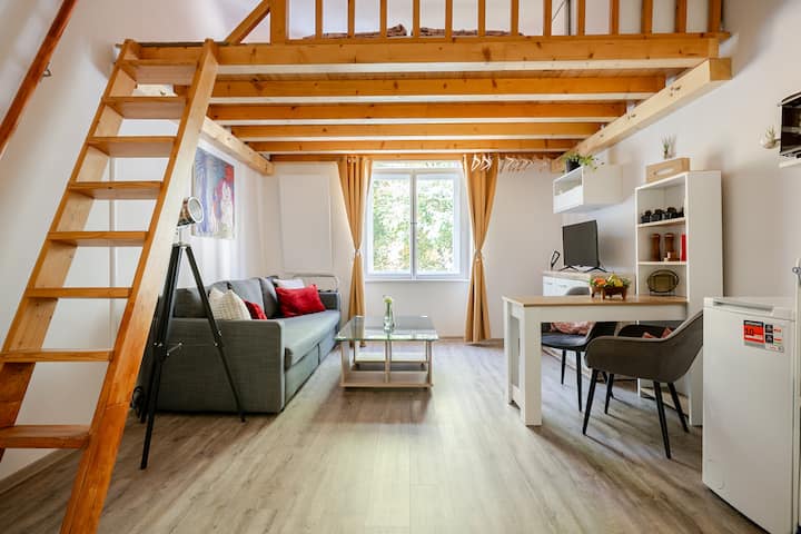 Charming Split-level Studio - Praga