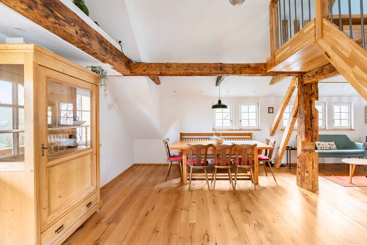 Cozy farmhouse, right on the mountain