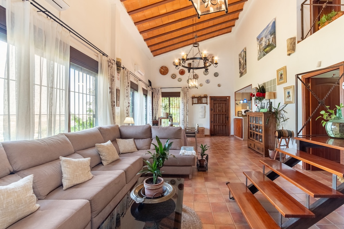 A spacious living room features a comfortable sectional sofa adorned with light cushions. Large windows allow natural light, illuminating a wooden-trimmed ceiling. Decorative plants enhance the inviting atmosphere. A staircase leads to the upper level, while artwork decorates the walls.