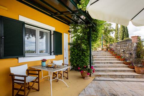Vassiliki's Apartment-Perfect View